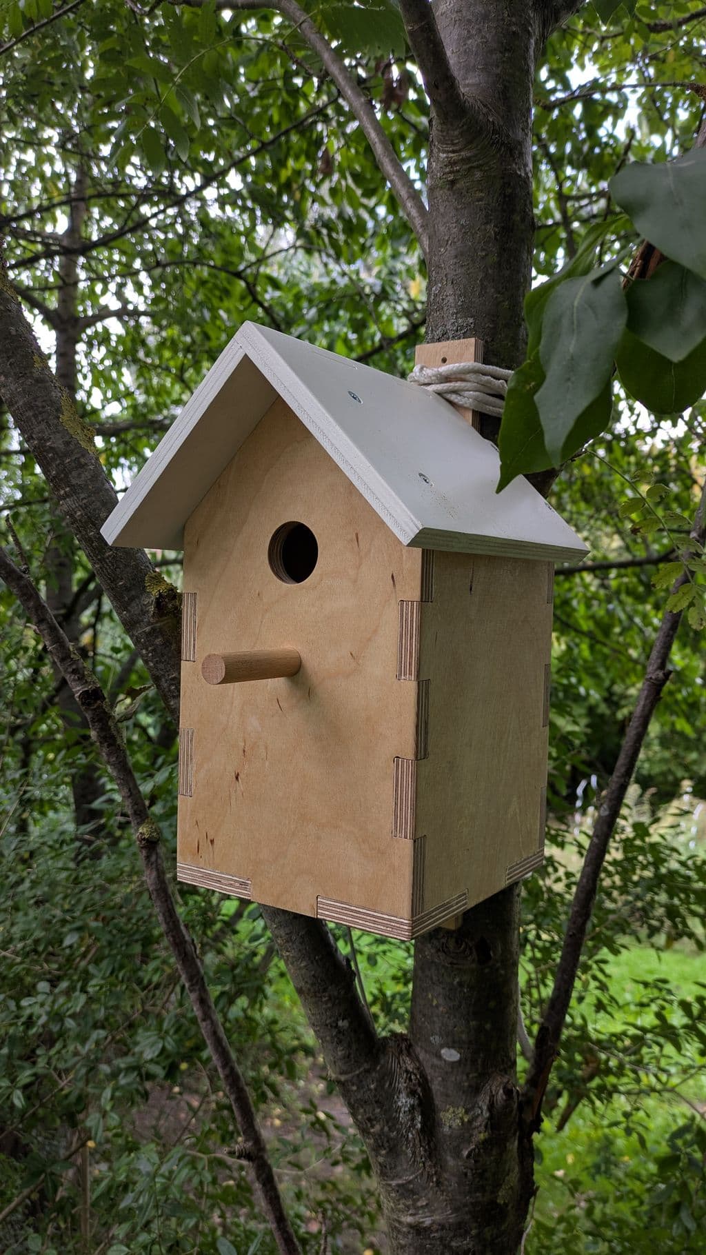 Finger Joint Birdhouse from Template