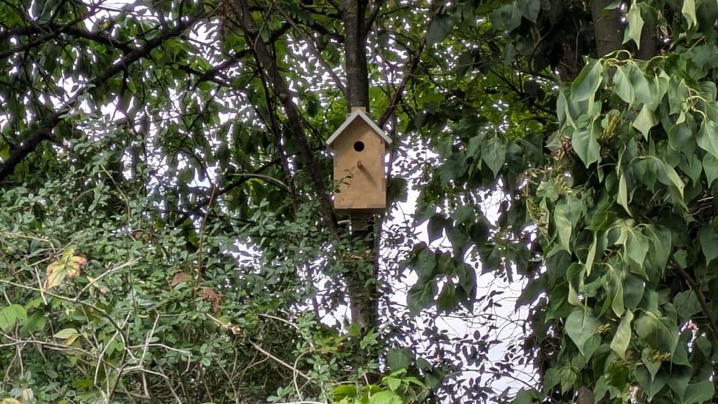 DIY Birdhouse waiting for Birds